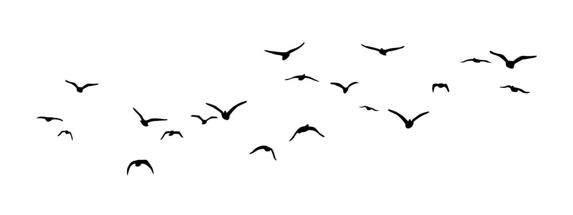 A flock of flying birds, Flying birds silhouettes , group of birds flying vector