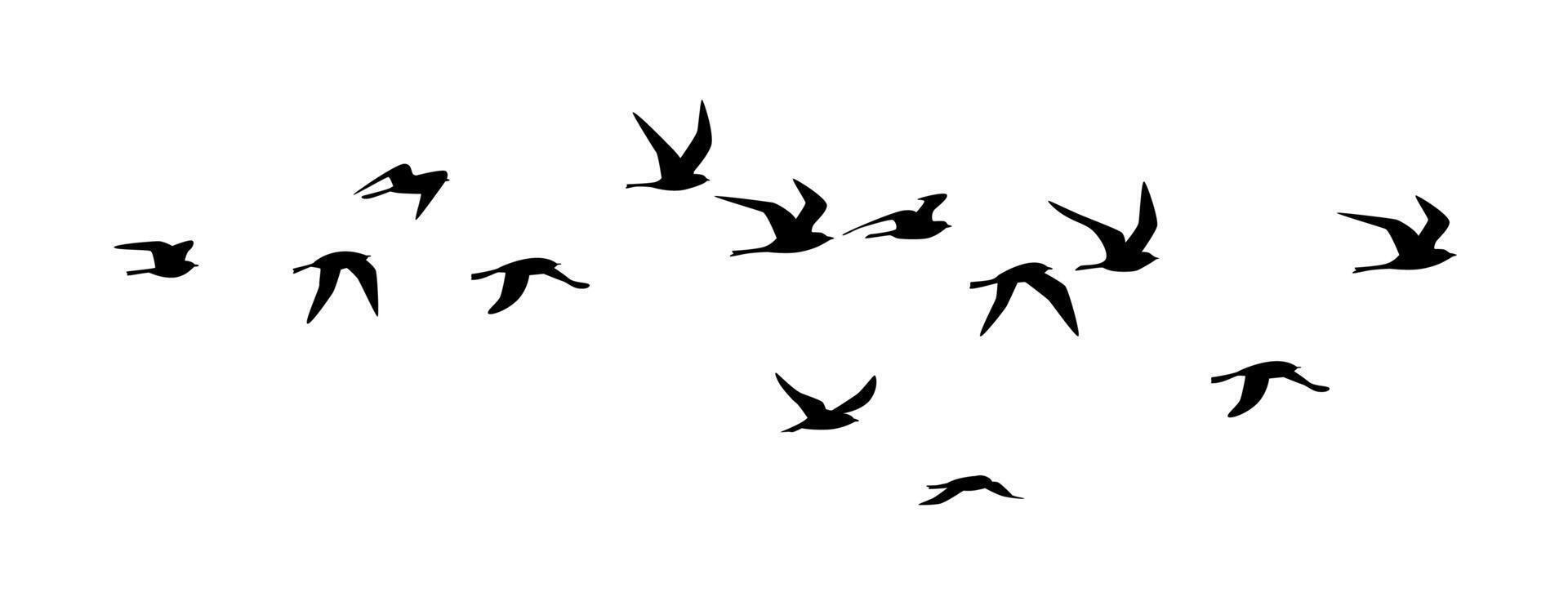 Flying birds silhouette, group of birds flying, flying birds flock silhouettes vector