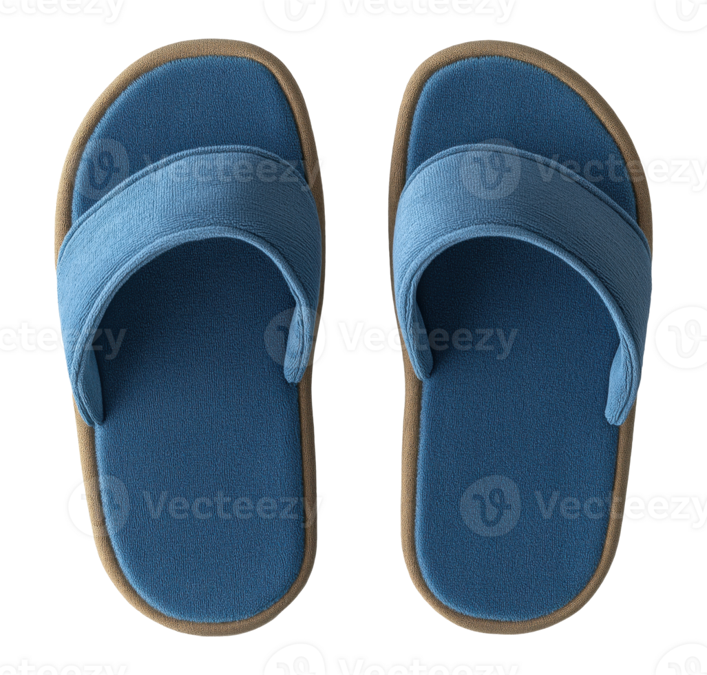 Pair of blue home slippers isolated on transparent background png