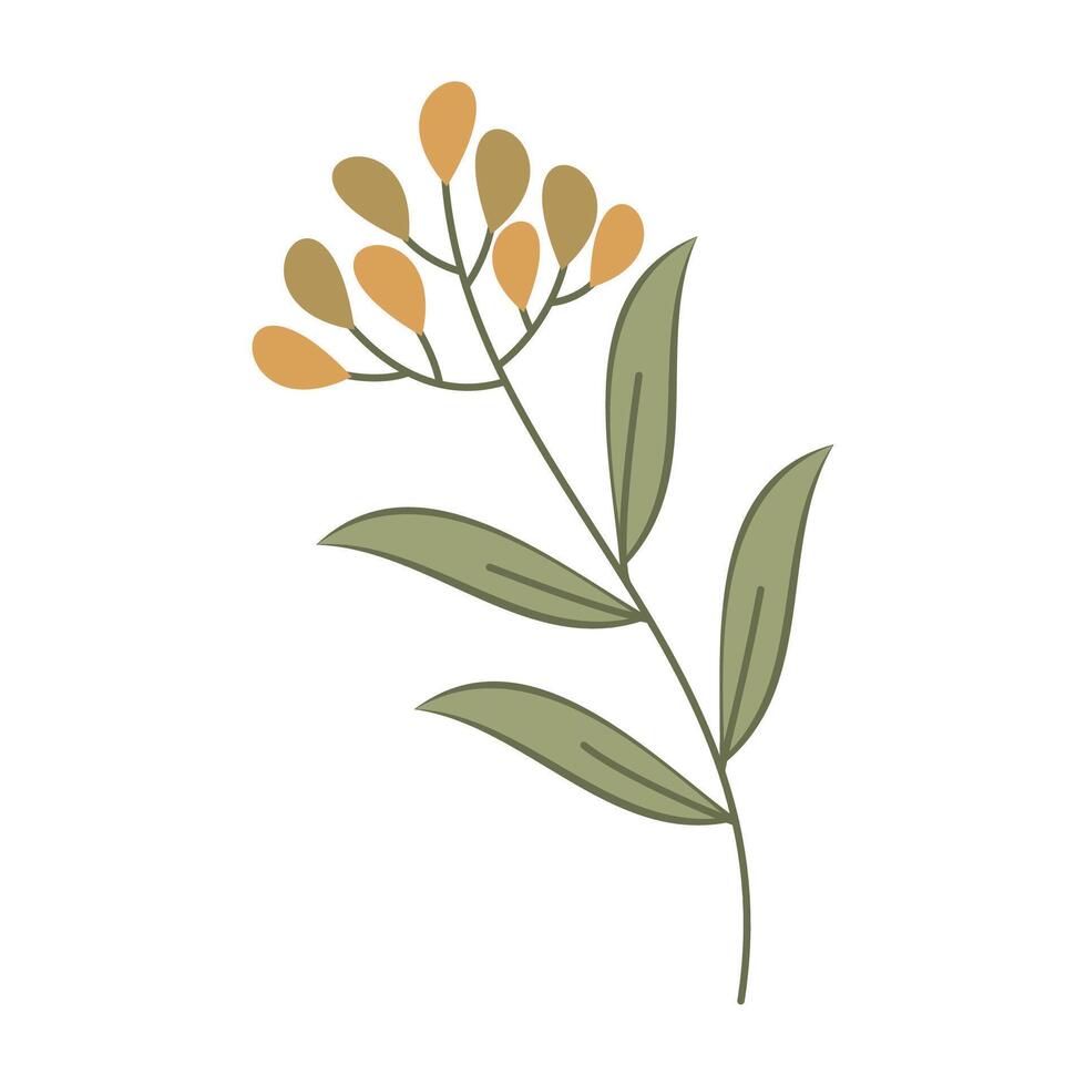 Collection of flat botanical illustrations featuring leave and small flowers vector