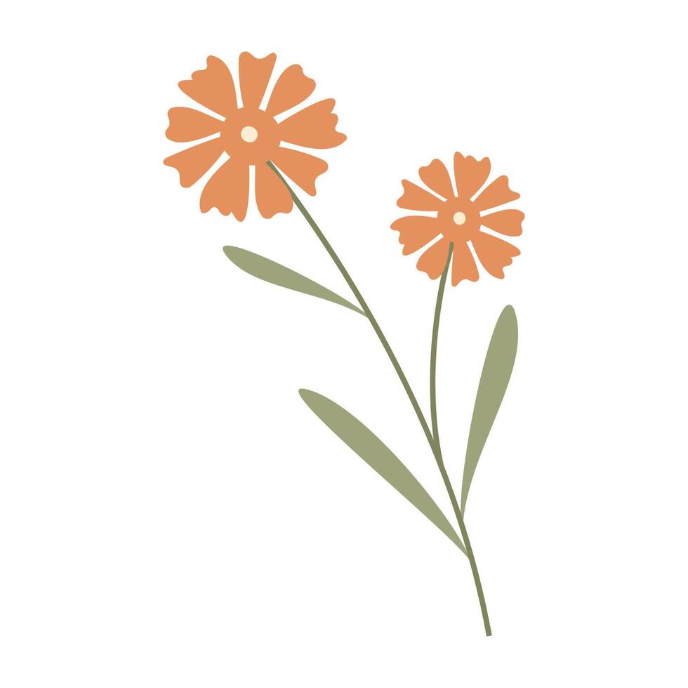 Collection of flat botanical illustrations featuring leaves and small flower vector