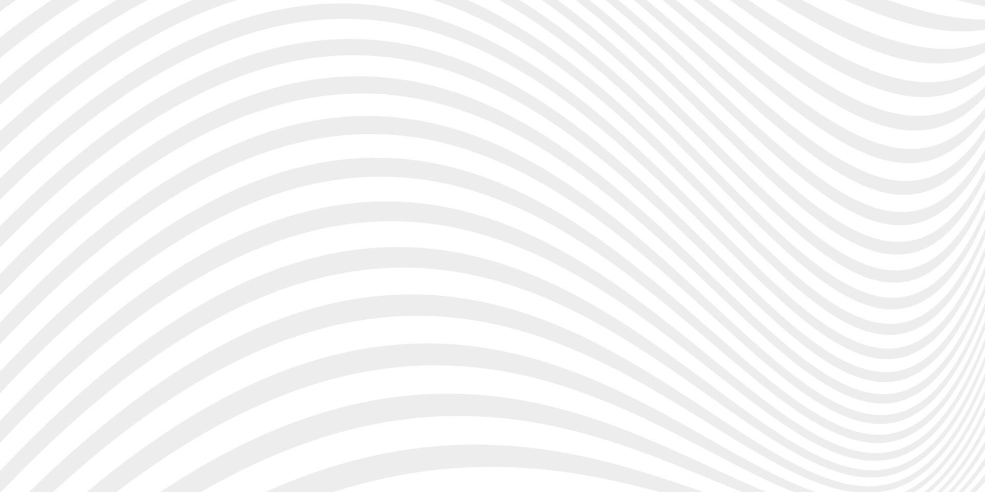 Abstract white background from lines. Wavy line drawing . vector