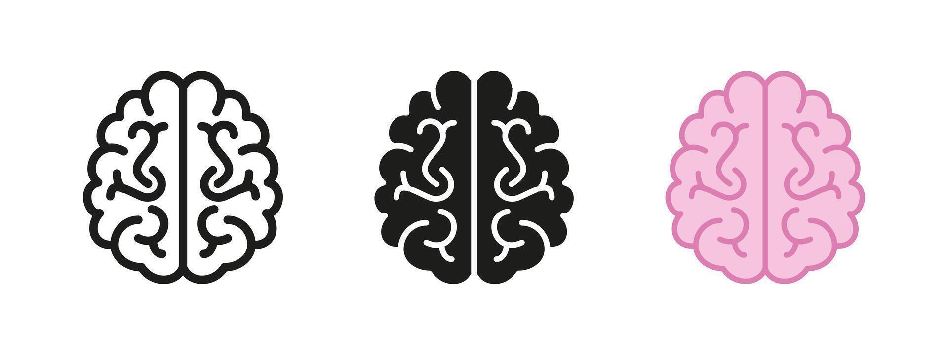 Brain icon. Human organ illustration with symmetrical curved lobes. Symbol of intelligence, memory and cognitive function. Medical and science pictogram for mental health and neural activity. vector