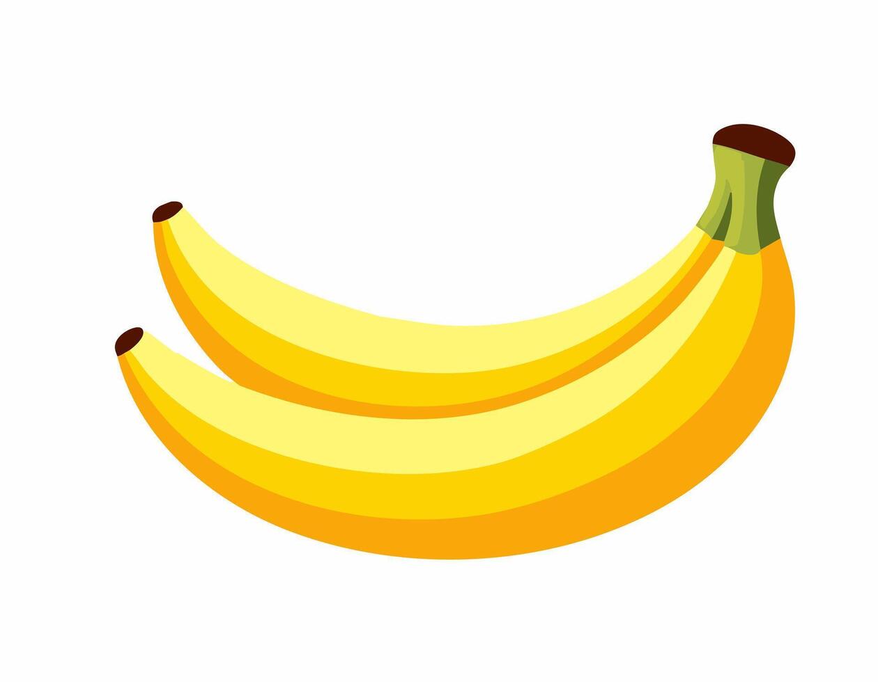 Bananas on white background vector
