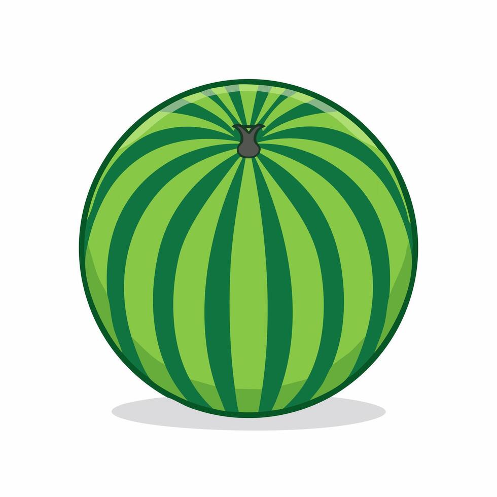 A watermelon is shown in a flat style vector