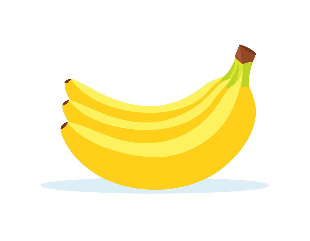 Bananas on white background illustration vector