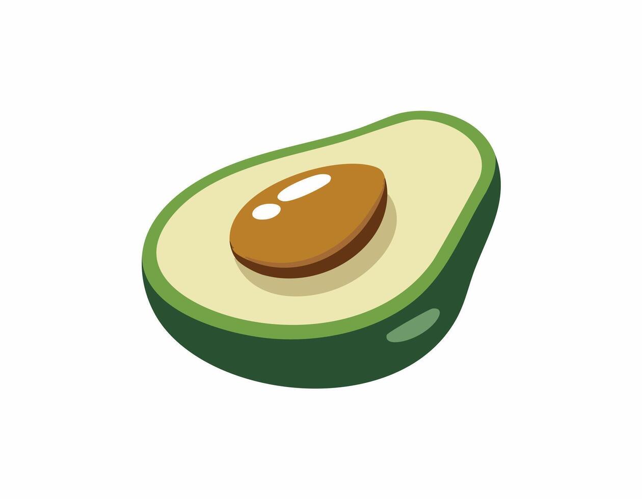 An avocado is shown on a white background vector