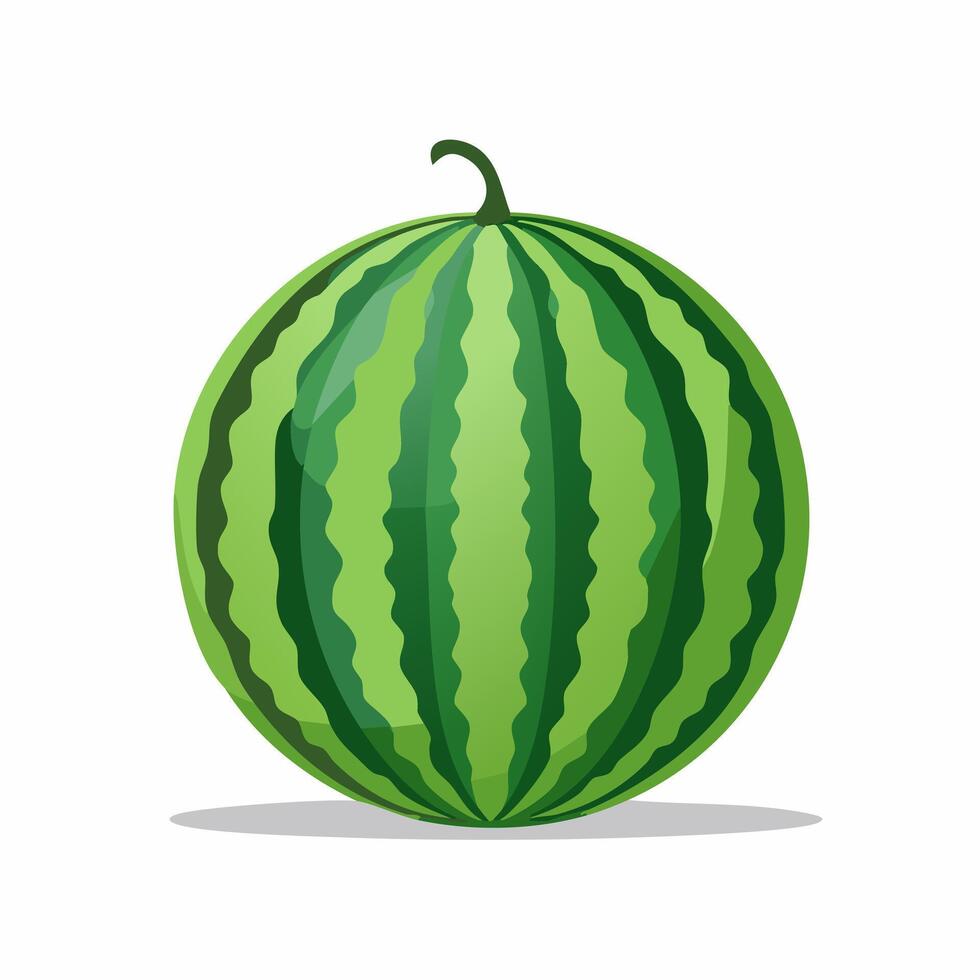 Watermelon illustration isolated on white background vector