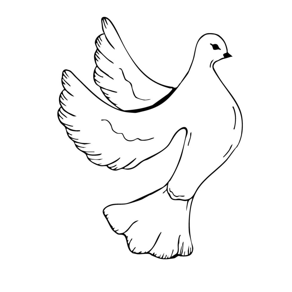 Peaceful dove design for first communion celebration announcement. Black outlines, white background. Dove of peace. Graphic art. For baptism, wedding invitation vector
