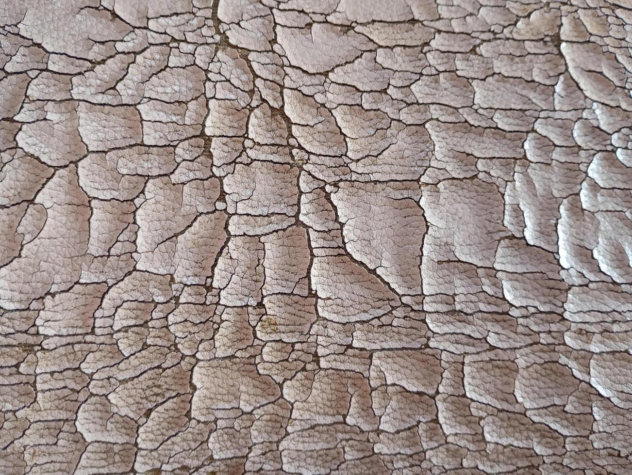 Cracked Leather Texture Close-up. A close-up of cracked leather surface, showing intricate patterns. photo