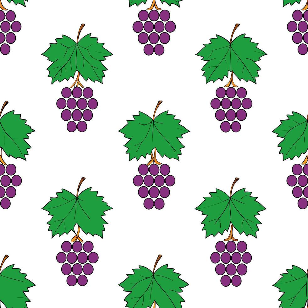 Lush grapevine seamless tile pattern with clusters of grapes and autumn leaves concept as Clusters of grapes and autumn leaves create a lush grapevine seamless tile pattern perfect Seamless Set vector