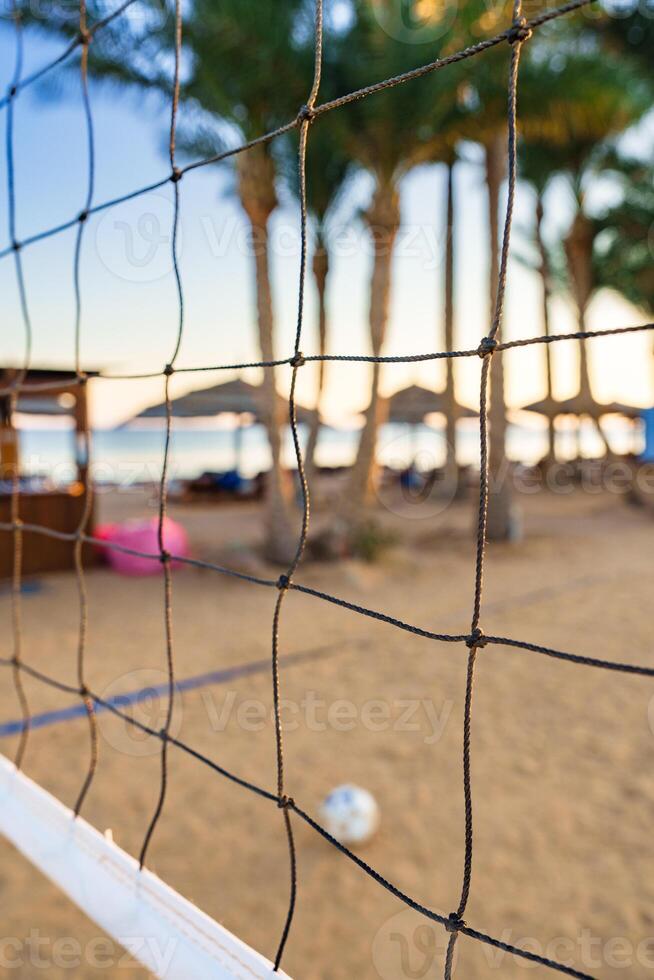 Volleyball net along sandy beach with palm trees and ocean at sunset photo