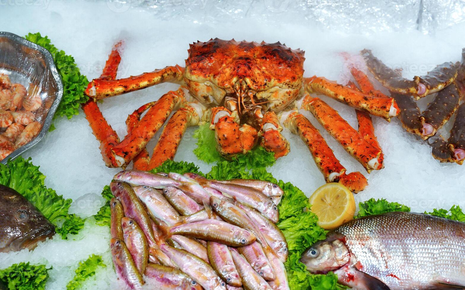 Fresh seafood display featuring crab and various fish at a market in the afternoon photo
