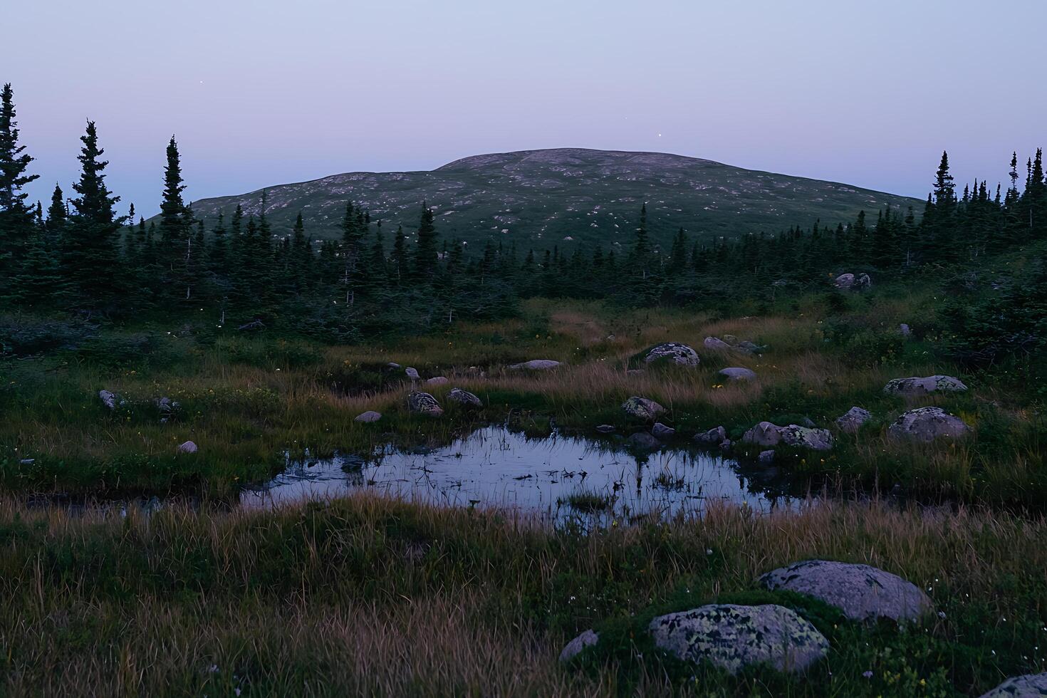 Serene Twilight Landscape Mountain, Forest, and Still Pond. A tranquil scene of a mountain reflected in a still pond at dusk. photo
