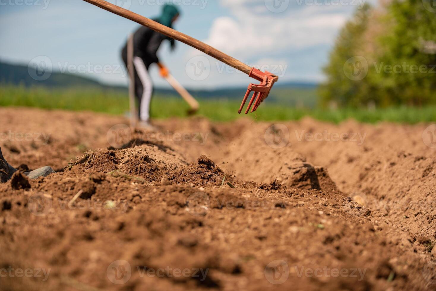 Team of farmers are working on an agricultural fields in spring. photo