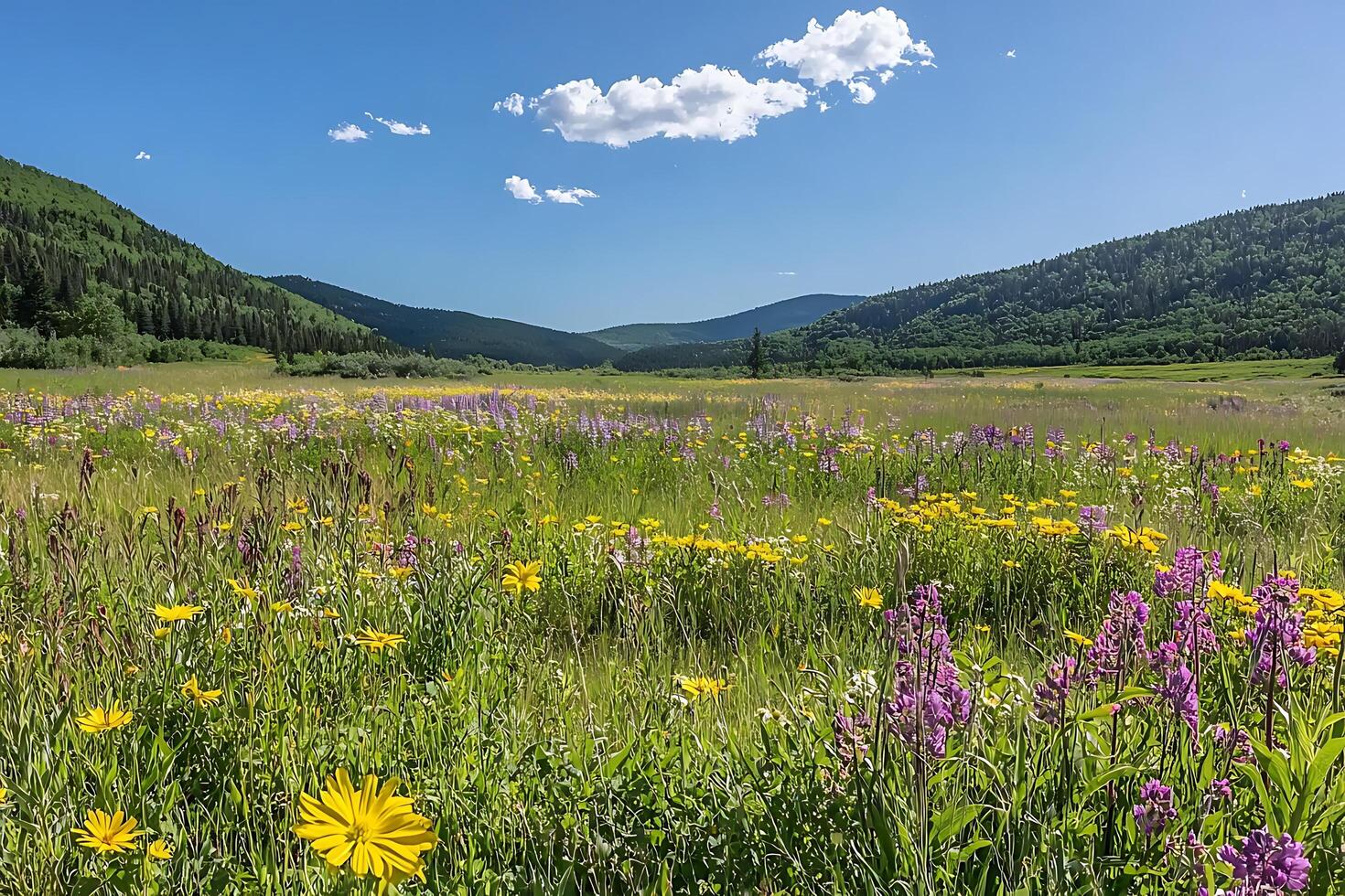 Vibrant Wildflower Meadow in Mountain Valley Landscape. A stunning display of wildflowers under a bright blue sky. photo