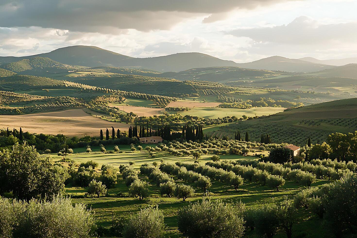 A beautiful view of a field with trees and hills photo