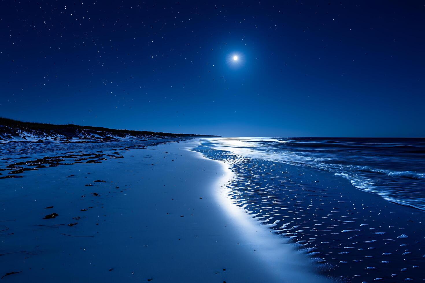 Serene Night Moonlit Beachscape Under a Starry Sky. A breathtaking image of a tranquil beach at night, illuminated by the moon and stars. photo