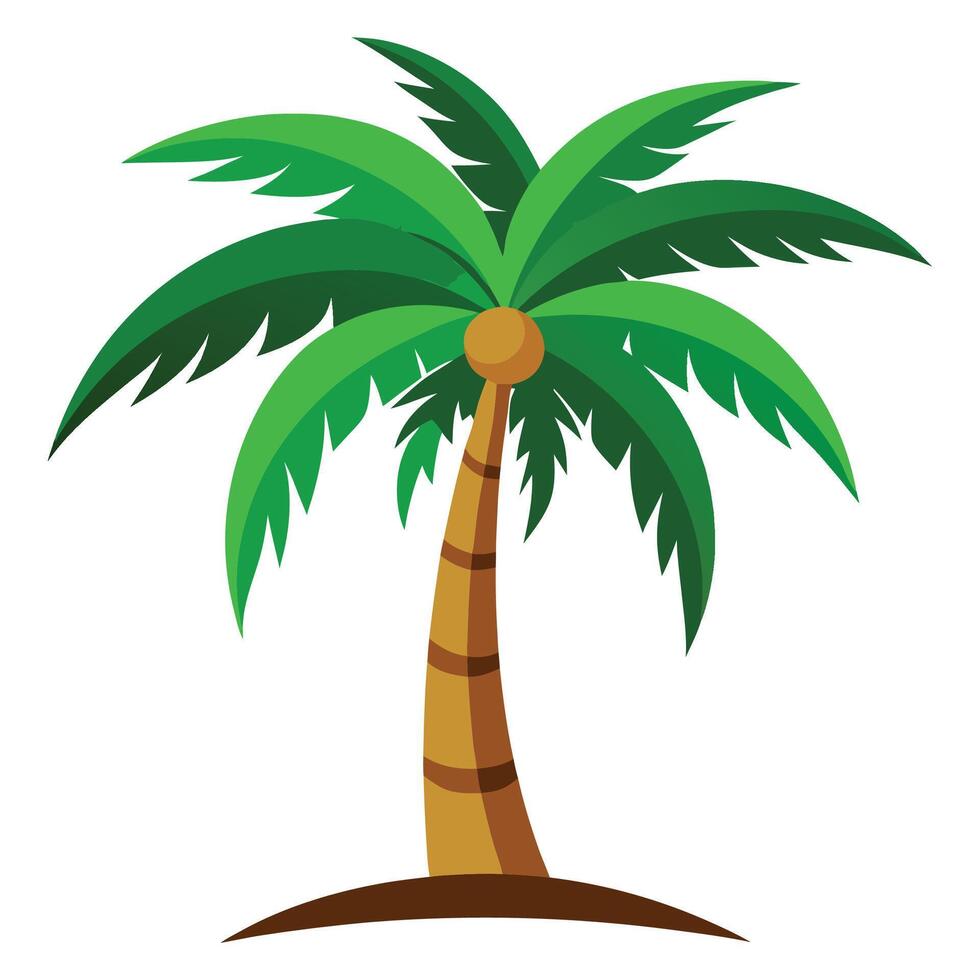 A Palm tree on a white background, Tropical palm tree black clipart. Tropical palm tree vector
