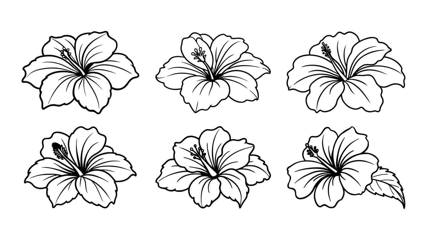 Hibiscus flower set black and white line art. vintage flower illustrations for elegant design vector