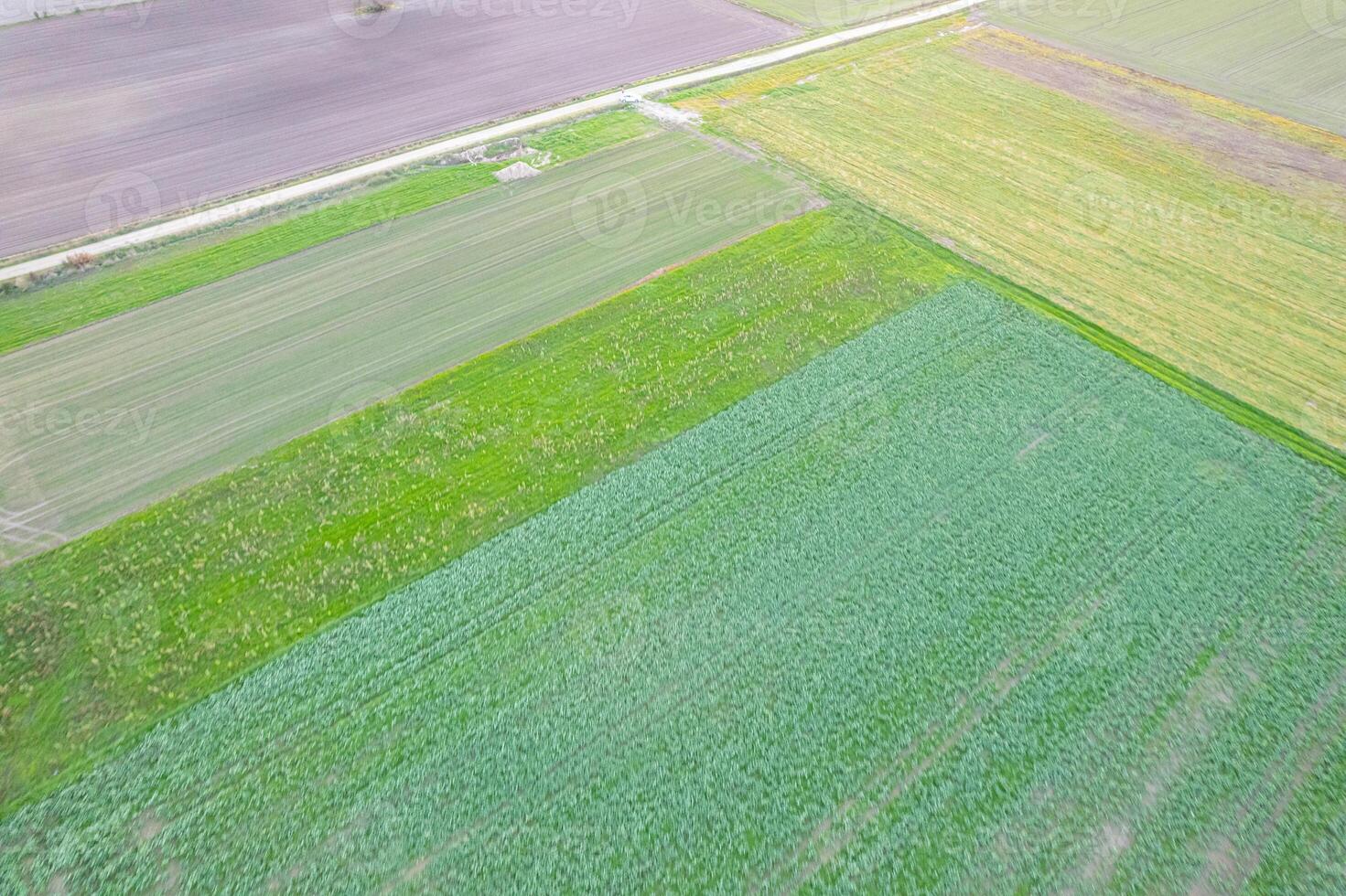 abstract patterns of agricultural fields from a high angle. crops in springtime photo