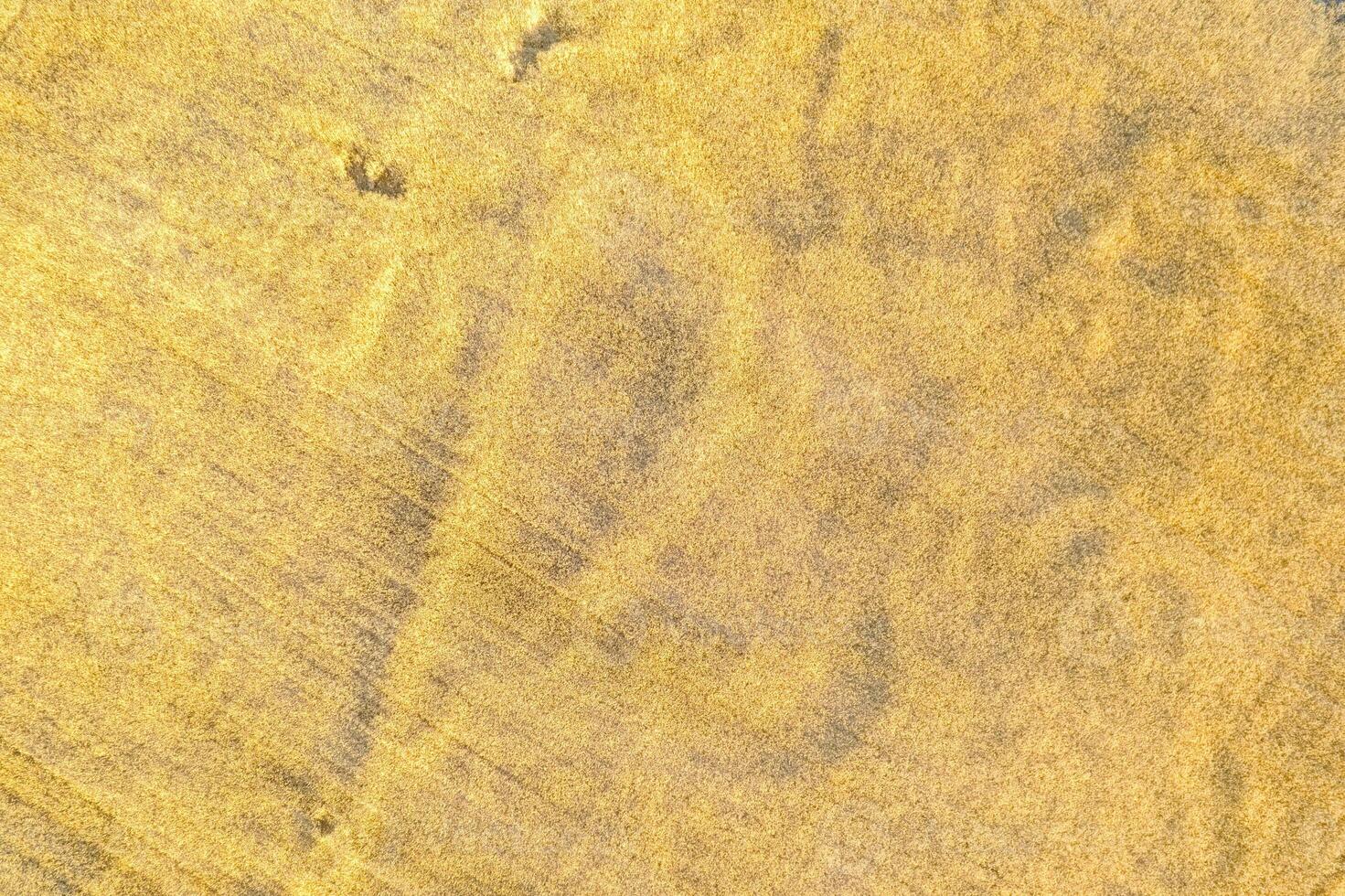 drone top down view shot golden wheat field bordering tilled earth farmland agriculture detail of ripe wheat stalks photo