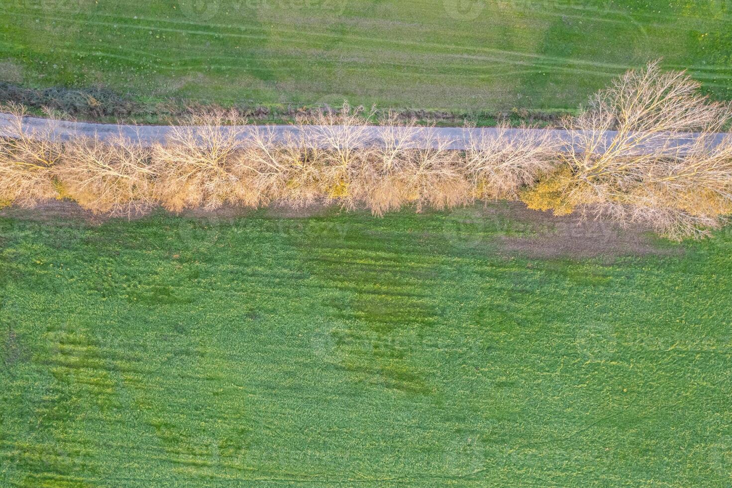 Aerial view of a serene rural landscape with green fields and a tree-lined road. photo