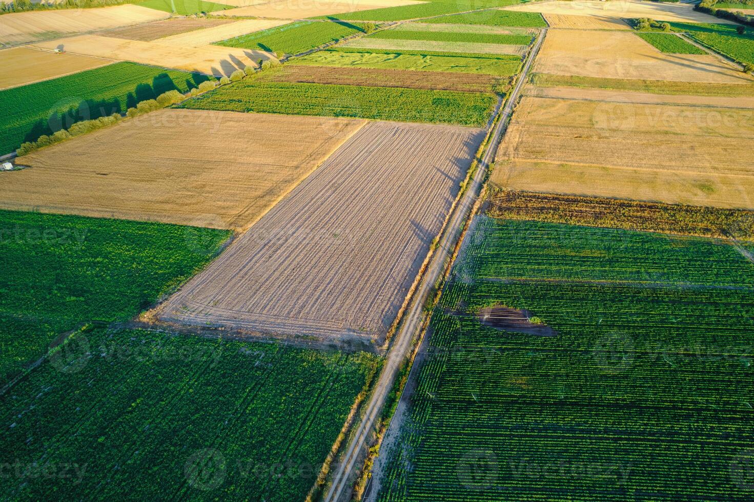 agriculture and farming drone view of field divisions agricultural landscape from above, geometric patterns and boundaries between cultivated fields photo
