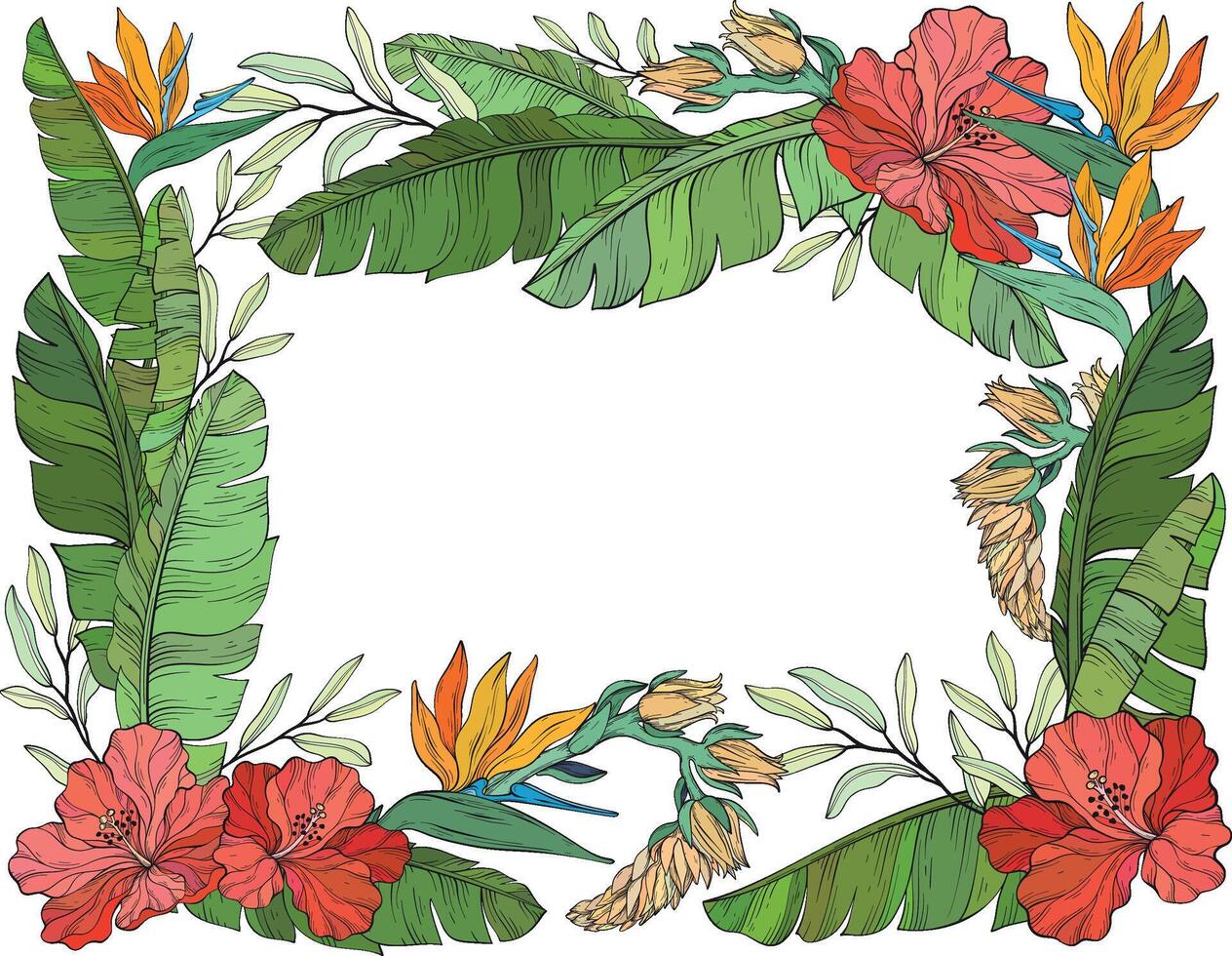 A illustration of a tropical floral frame featuring hibiscus flowers, bird of paradise blossoms, and lush green banana leaves on a white background vector