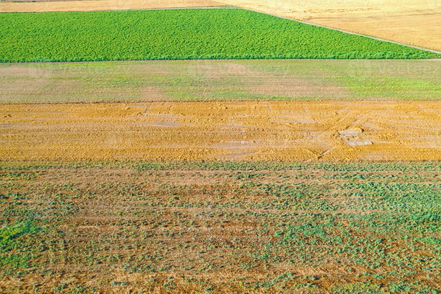 aerial drone view of variety crops creating color texture mosaic across fields Agricultural concept background texture photo