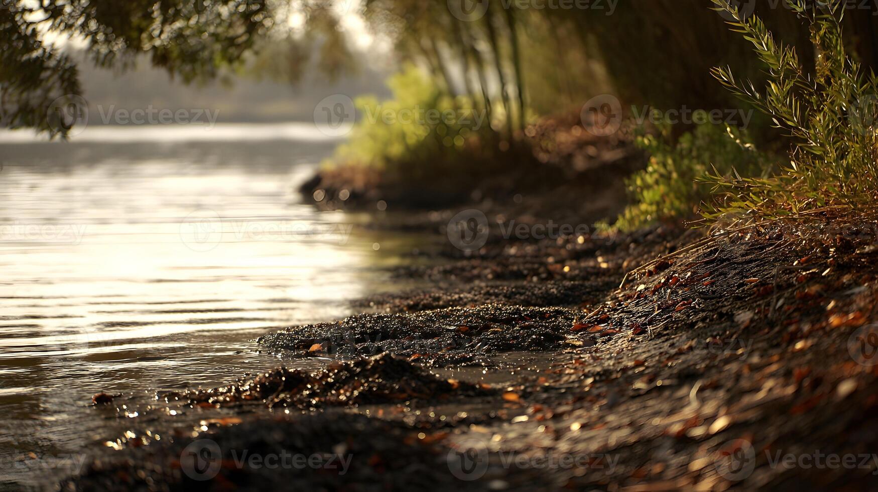Calm lake water gently laps at the muddy shore on a sunny day with trees in the background photo