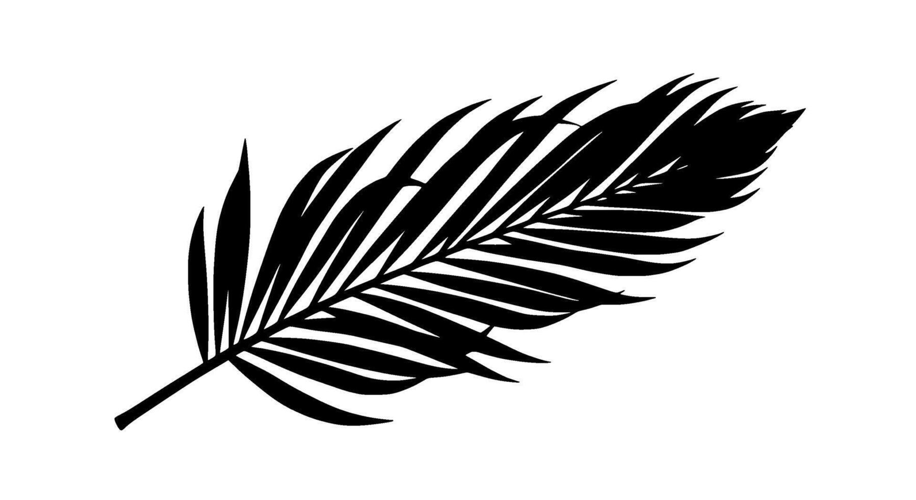 Monochrome Palm Frond Silhouette vector