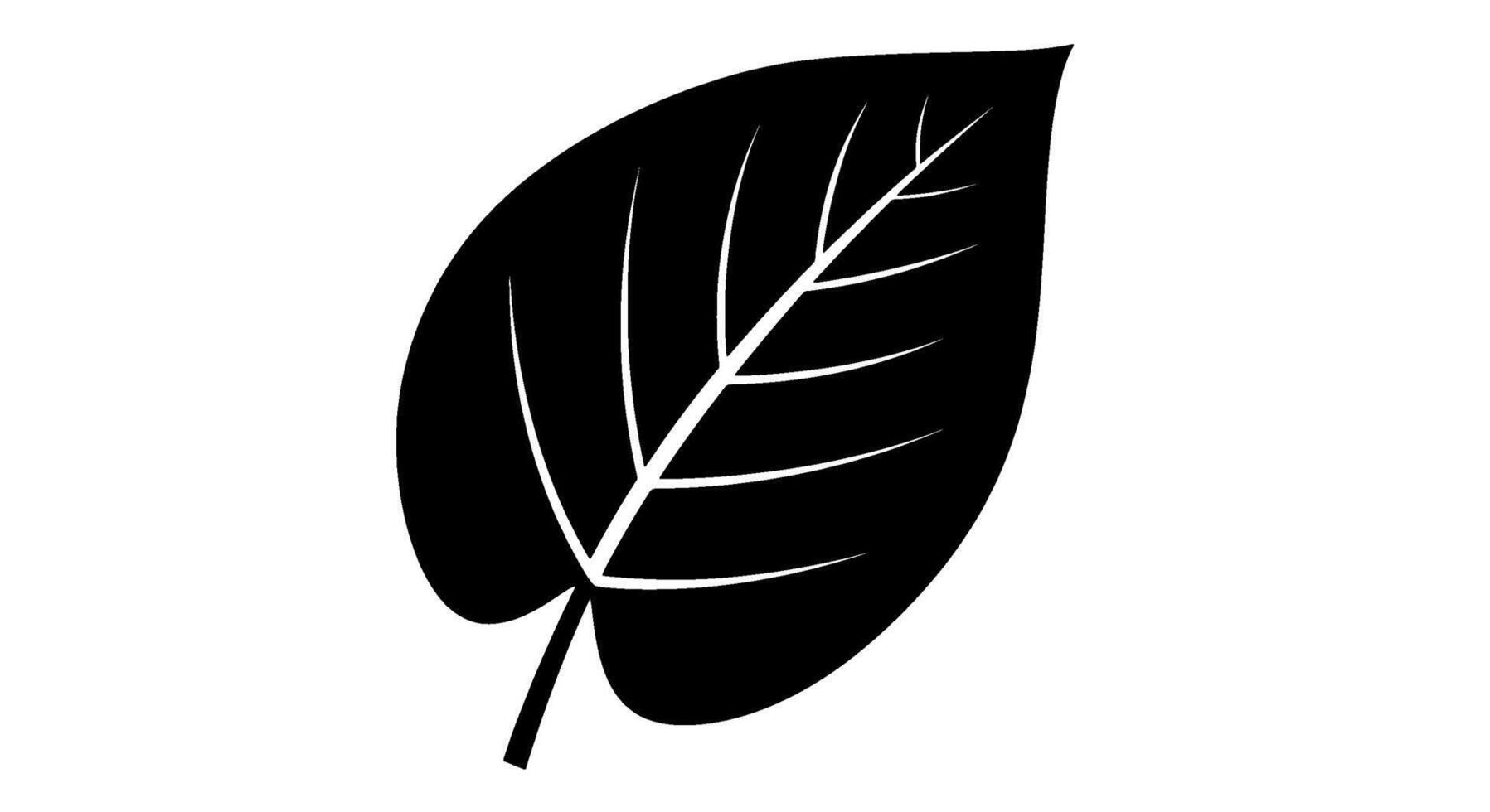 Monochrome Leaf Silhouette with Central Vein vector