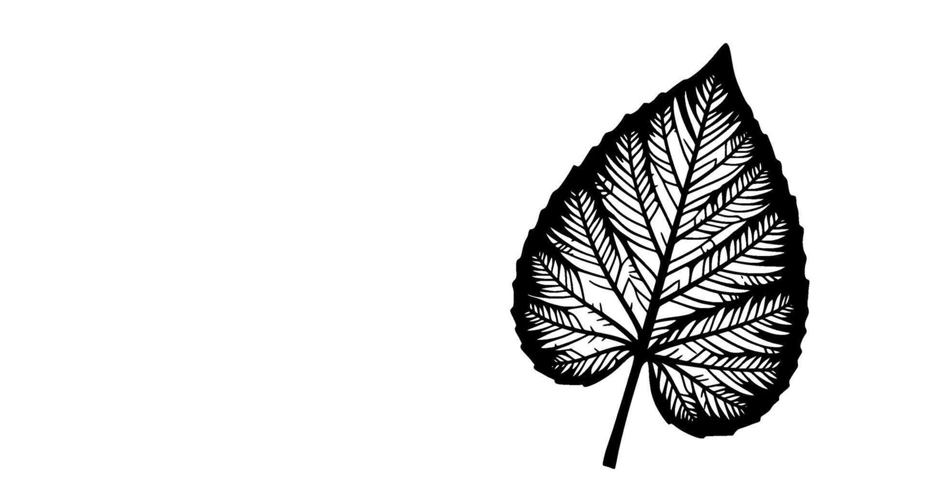 Monochromatic Leaf Line Art Intricate Vein Detail vector