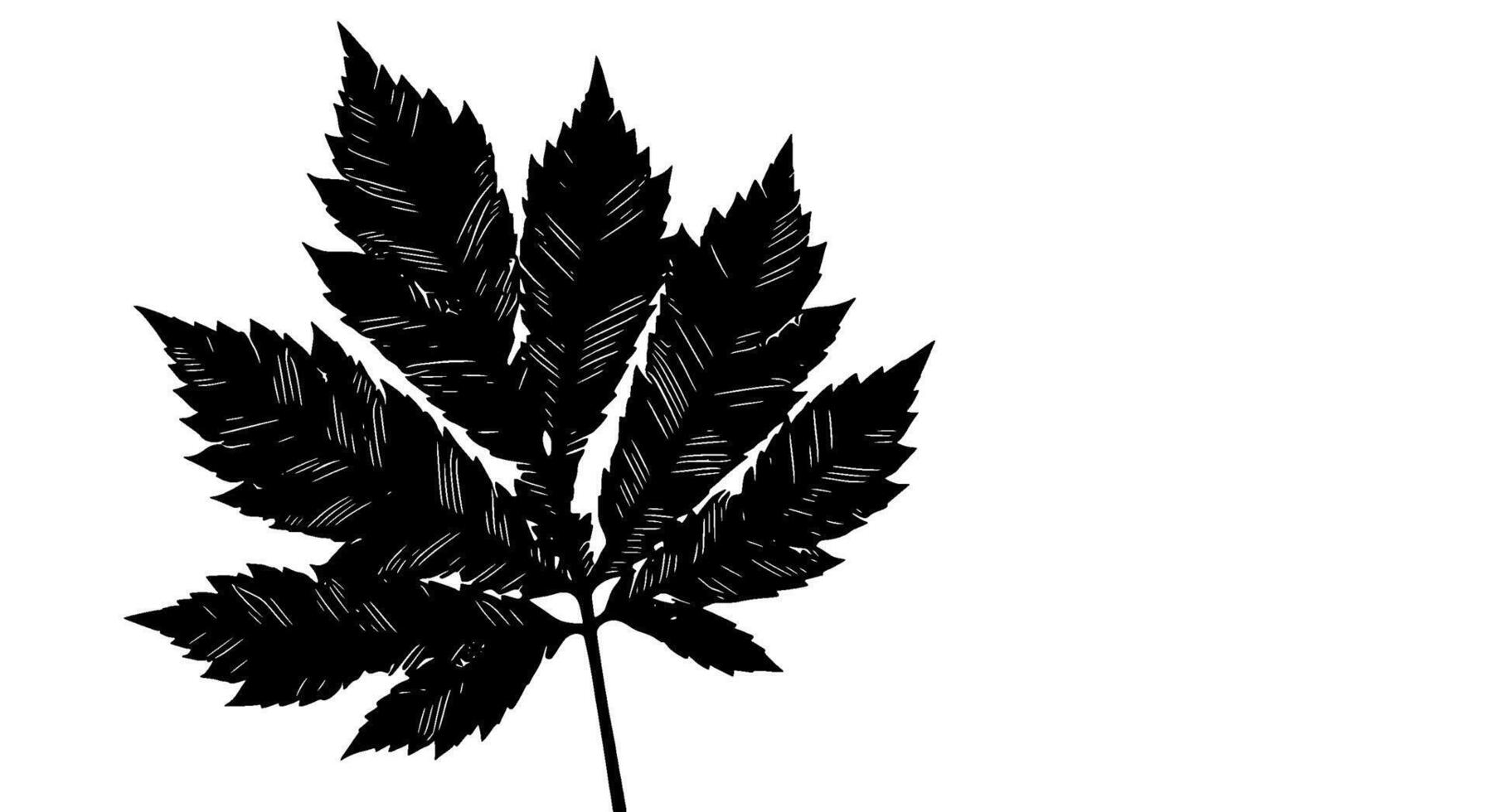 Black Ink Leaf Silhouette Botanical Illustration vector