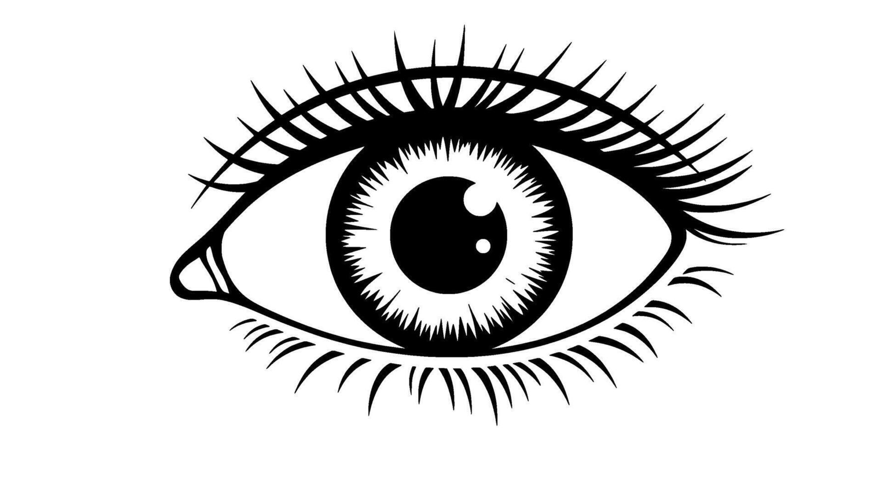 Monochromatic Eye with Detailed Lashes vector