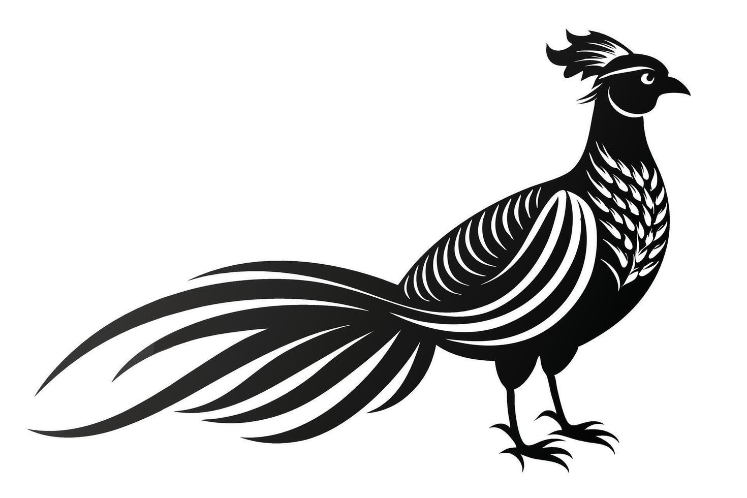 Black Pheasant Standing Elegant Illustration vector