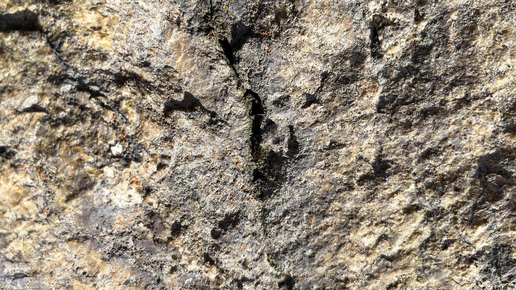 Textured stone background photo