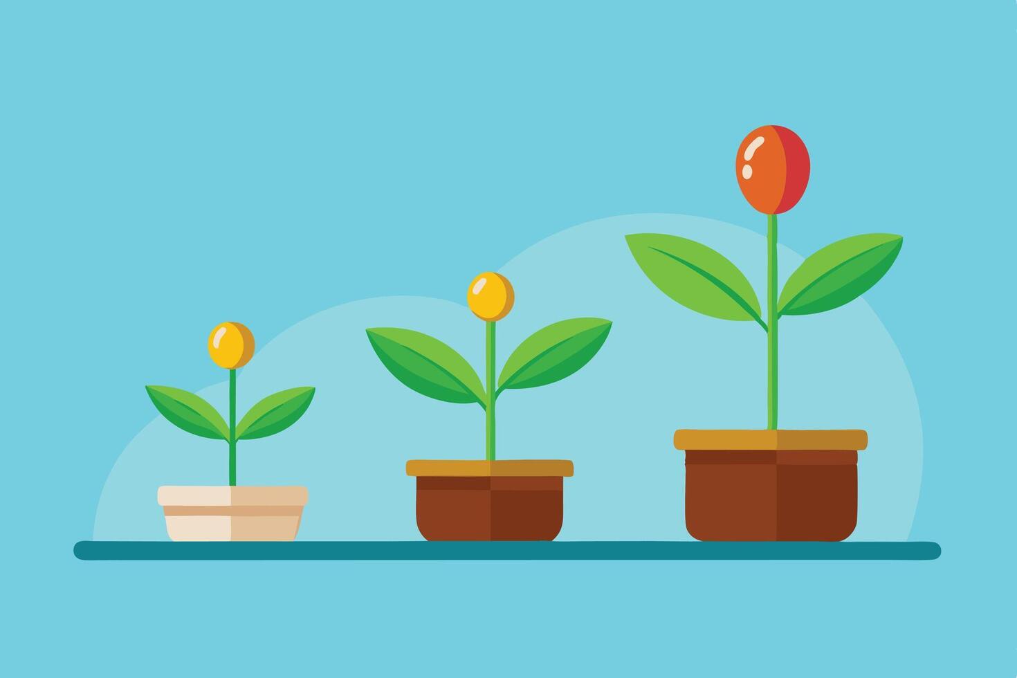 Plant Growth Stages Illustration Concept vector
