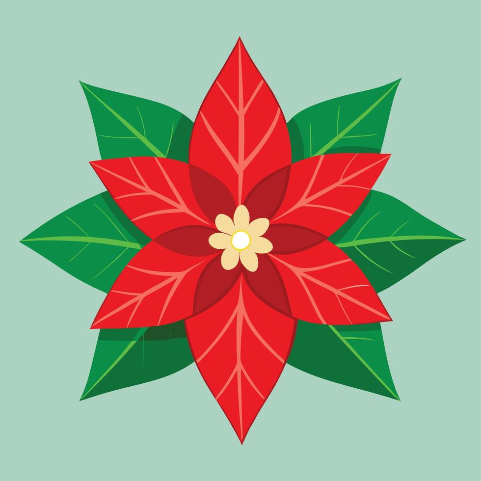 Graphic Red Poinsettia Flower Festive Illustration vector
