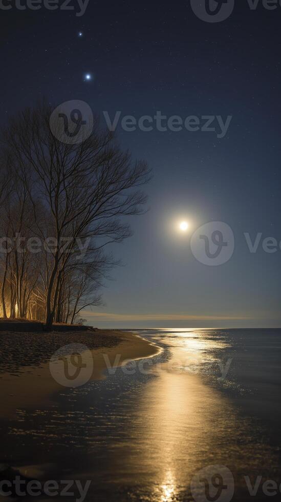 serene beach scene under clear night sky, illuminated by moonlight reflecting on water. trees add tranquil touch photo