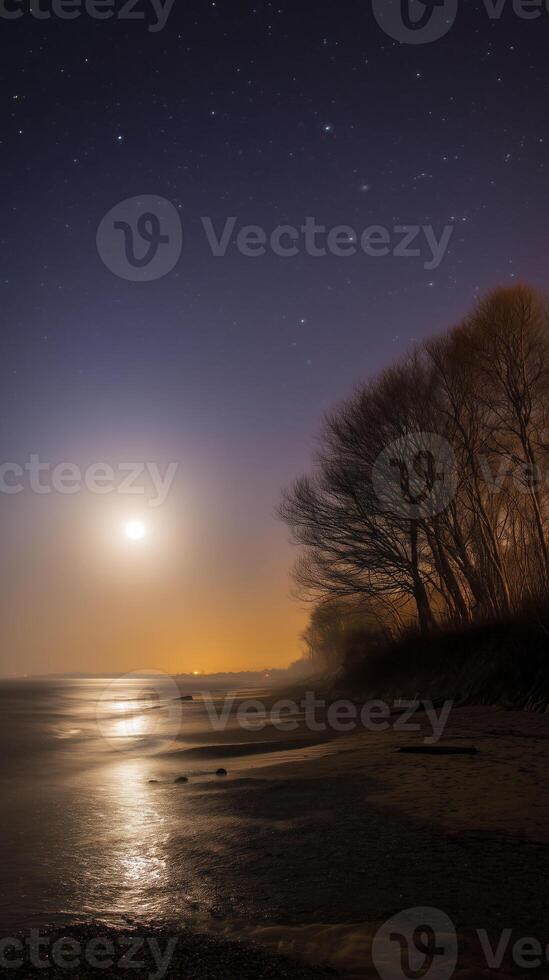 serene beach scene under clear night sky, illuminated by bright moon reflecting on water, creating tranquil atmosphere photo