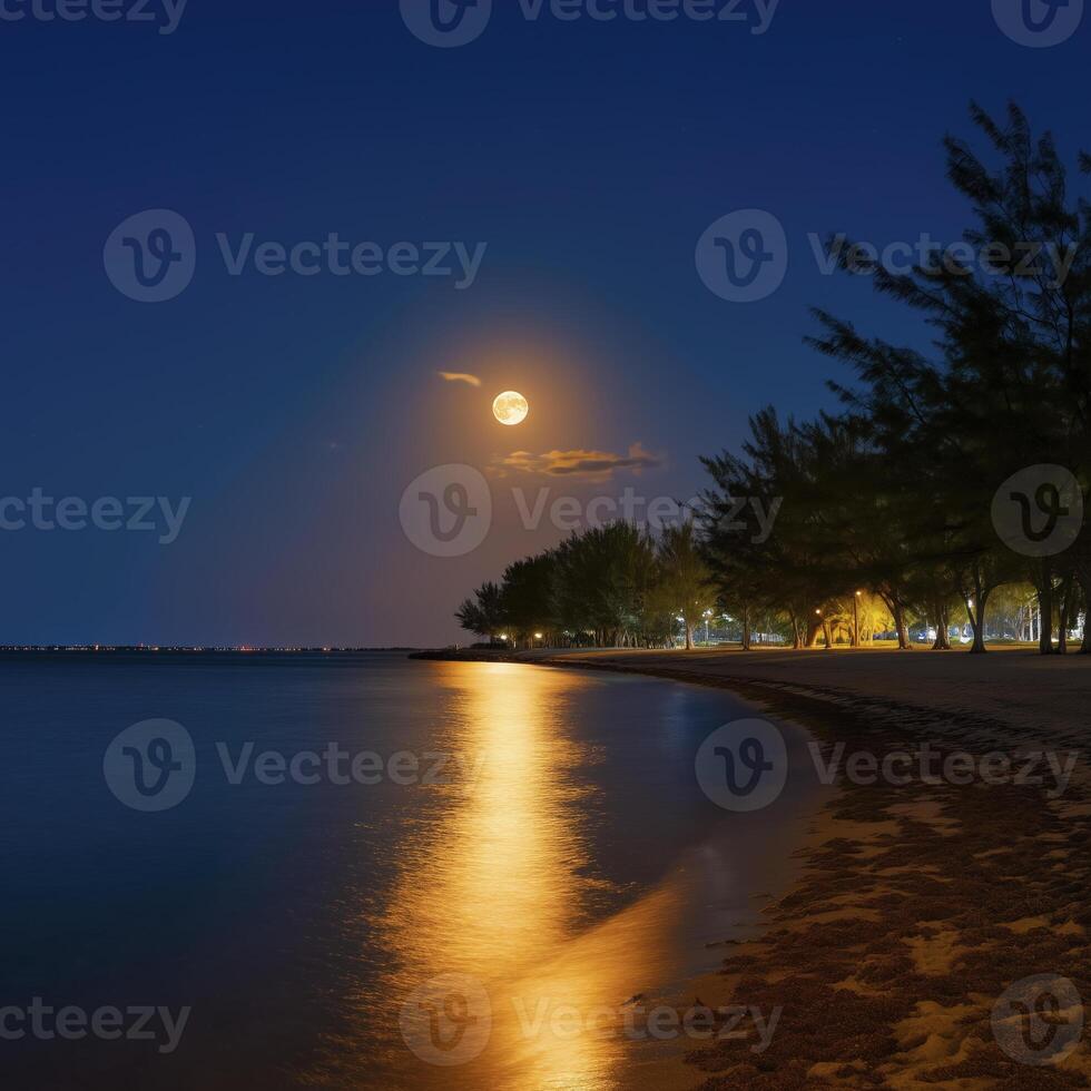 serene night scene with full moon illuminating calm sea and sandy beach, creating peaceful atmosphere photo