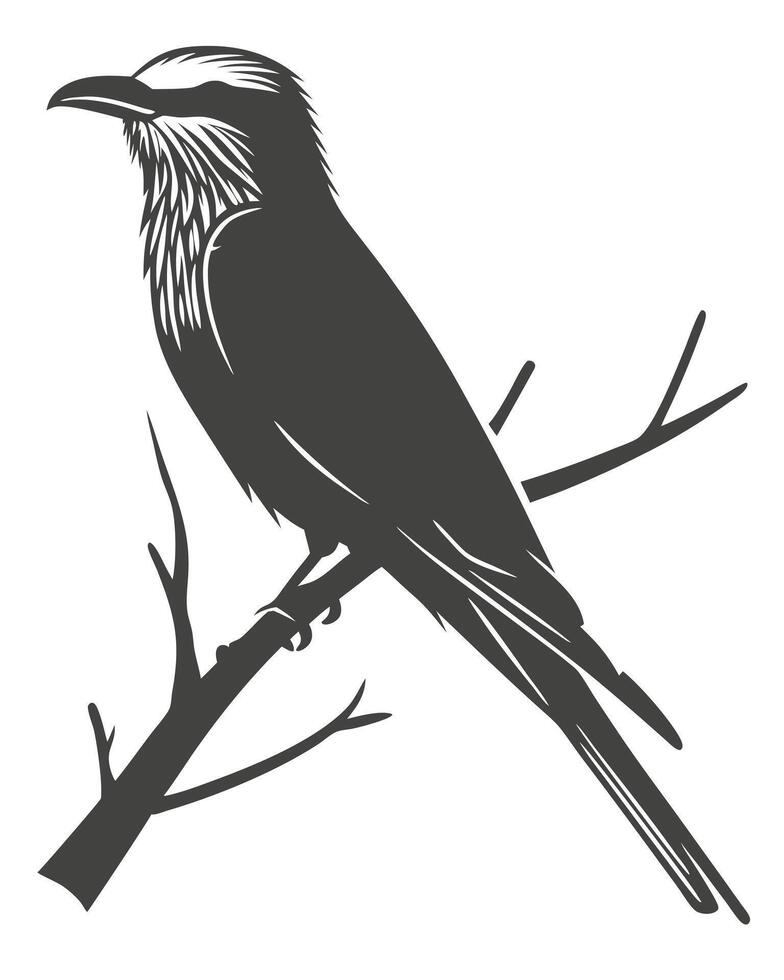 Bird Silhouette Perched On A Branch vector