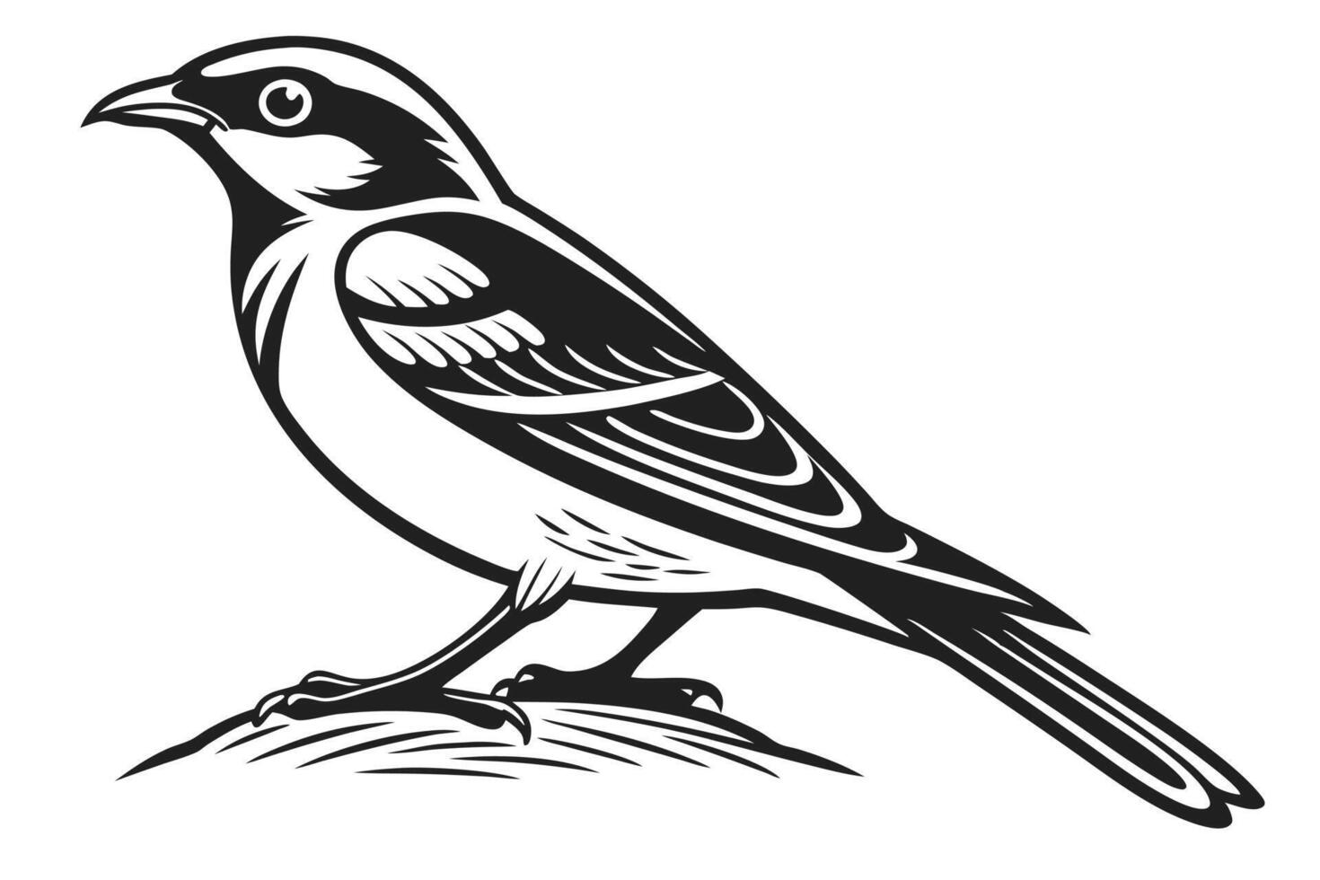 Isolated Silhouette Bird Illustration Graphic vector