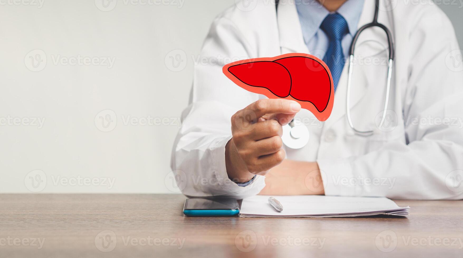 Close-up of a doctor holding a liver shape symbol while sitting at the table in the hospital. photo