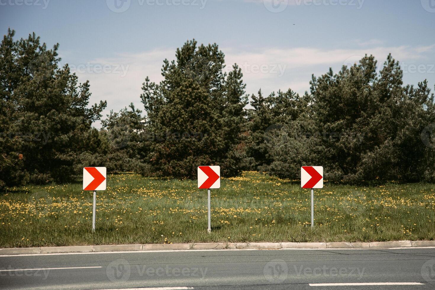 A row of right turn road signs placed along a curved road with a backdrop of green pine trees and wildflowers. Perfect for themes like transportation, traffic safety, and driving directions. photo