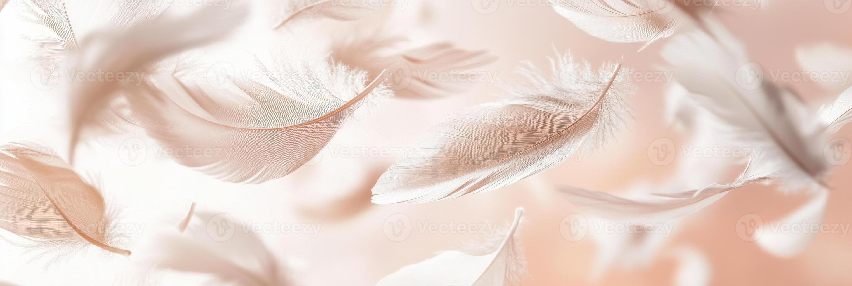 White feathers floating on soft peach background for delicate nature concept photo