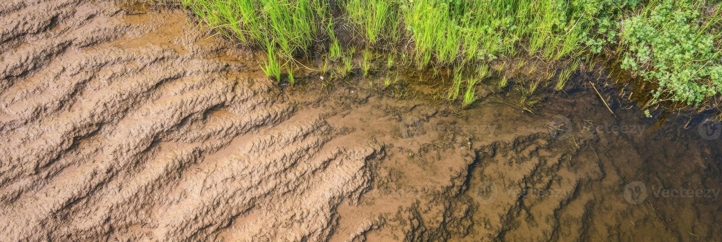 Aerial view of rippling mud patterns and vibrant grass at a waterside bank photo