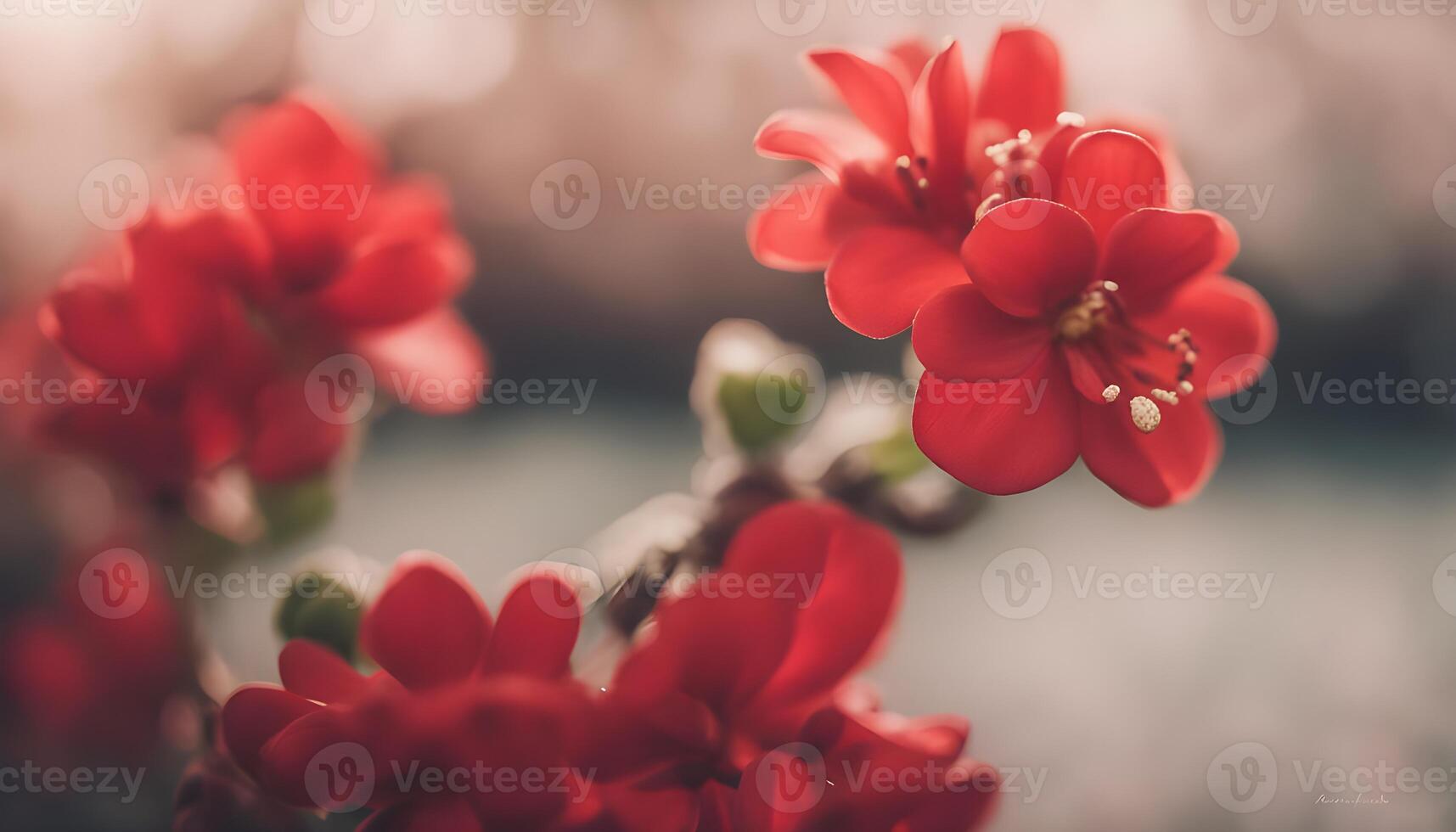 Detailed close-up of red kalanchoe flower, softly blurred backdrop for focus photo